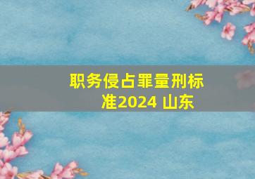 职务侵占罪量刑标准2024 山东